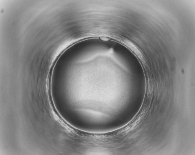 X0000088170958200705151145