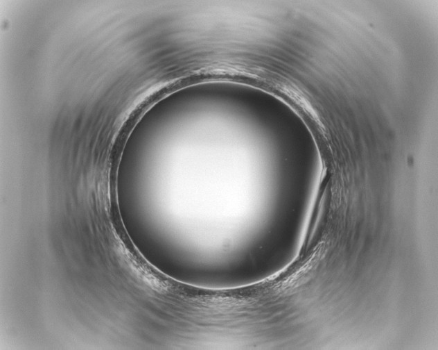 X0000088170984200705151144