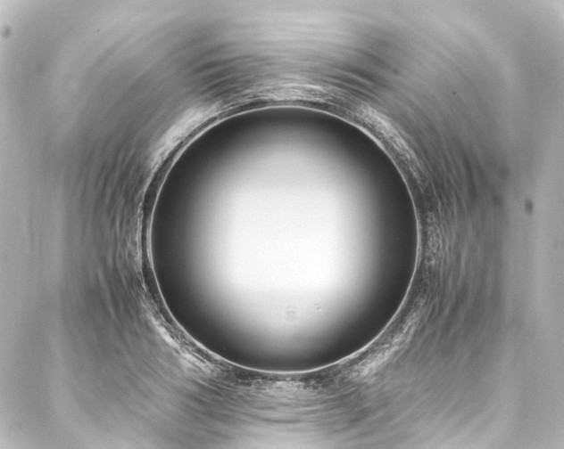 X0000088170986200705151144