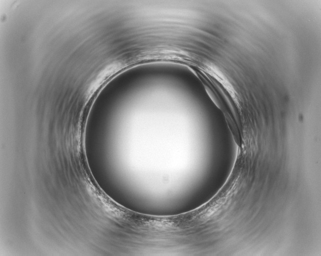 X0000088170994200705151144