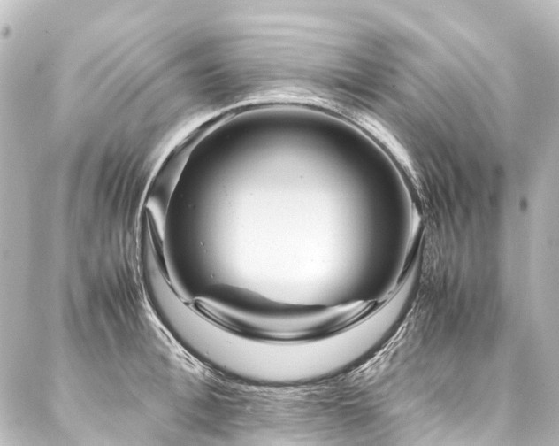 X0000088170996200705151144