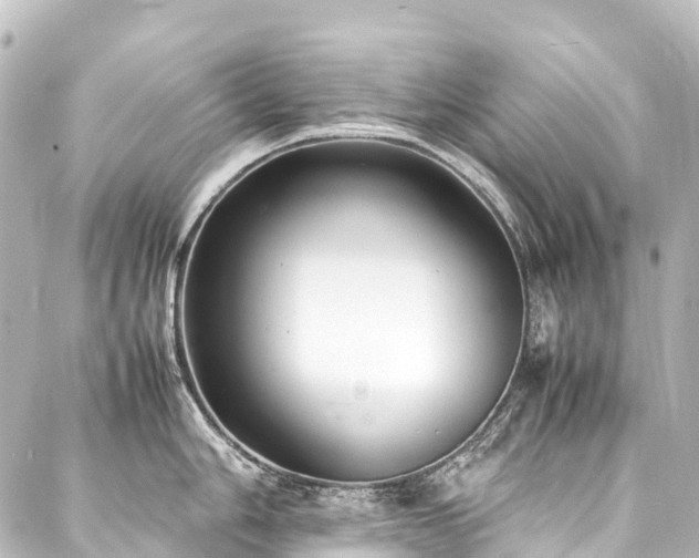 X0000088171006200705151144