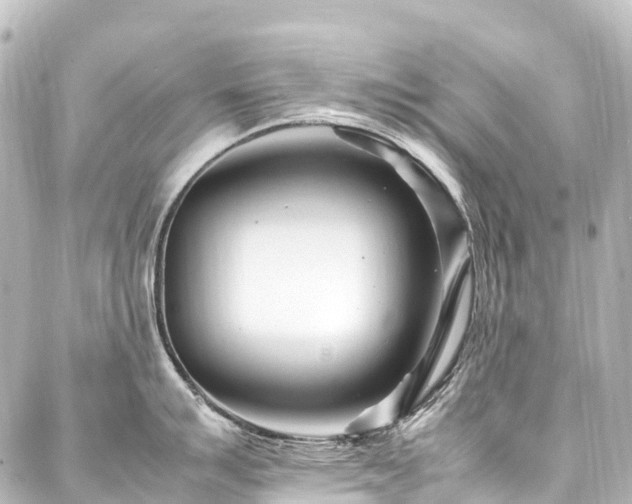 X0000088171007200705151144