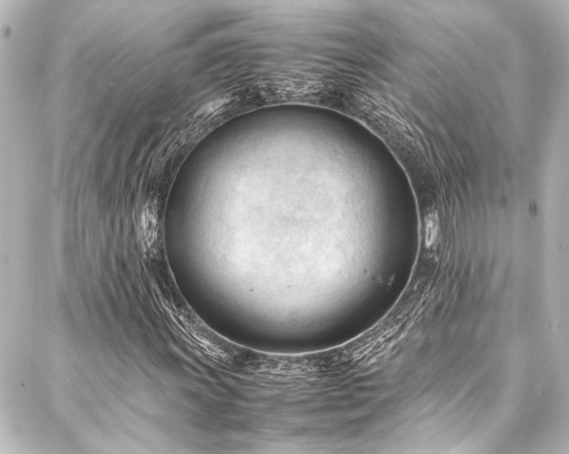 X0000088171011200705151143