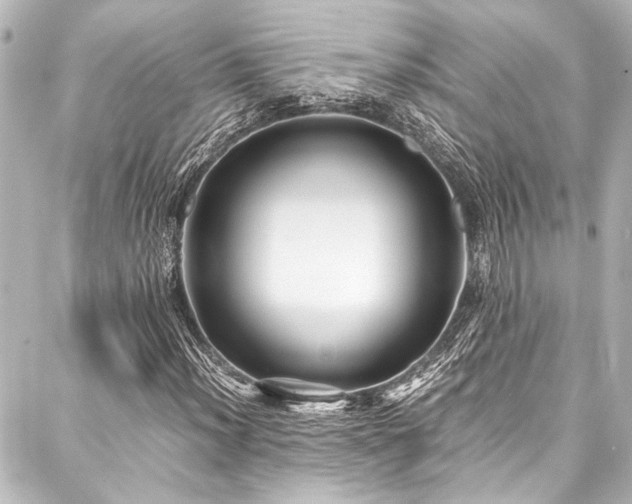 X0000088171012200705151143