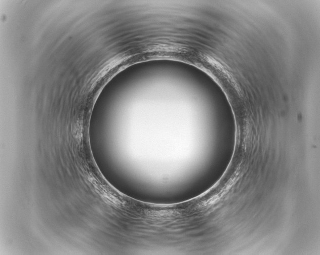 X0000088171017200705151143