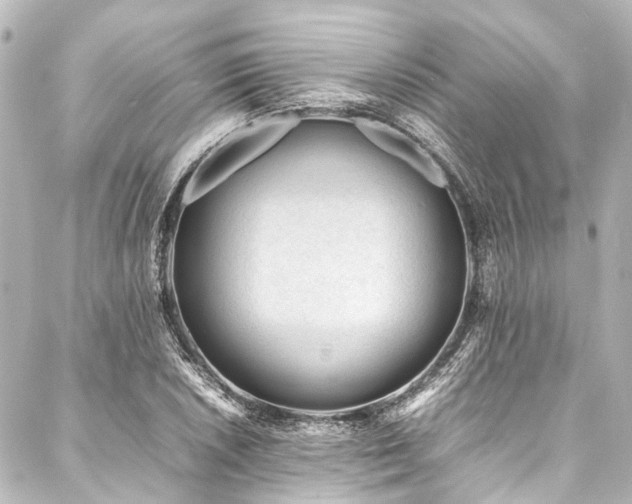 X0000088171026200705151143