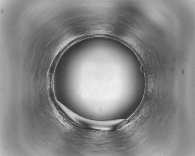 X0000088171031200705151143