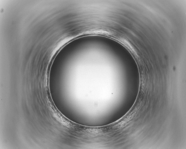 X0000088171044200705151143