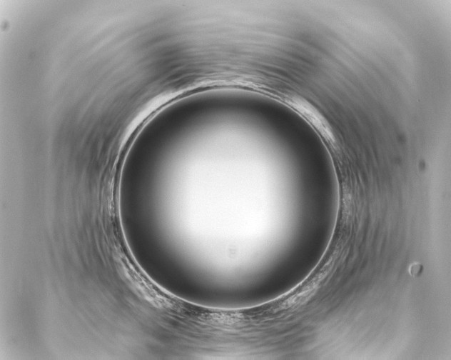 X0000088171052200705151143