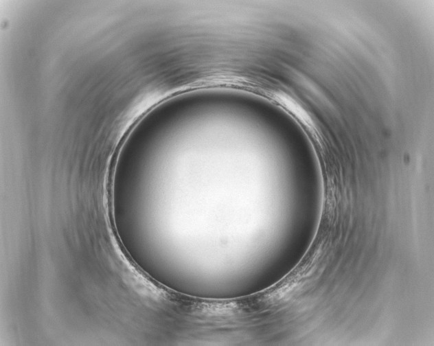 X0000088171055200705151143