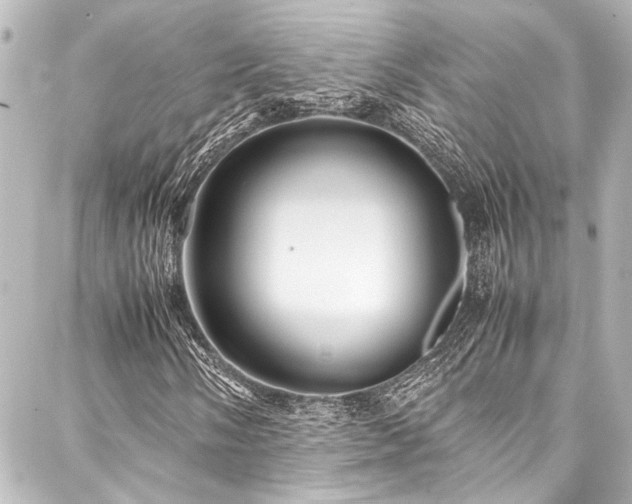 X0000088171058200705151143