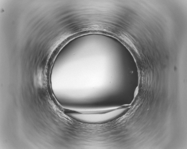 X0000088171068200705151143
