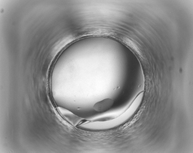 X0000088171087200705151142