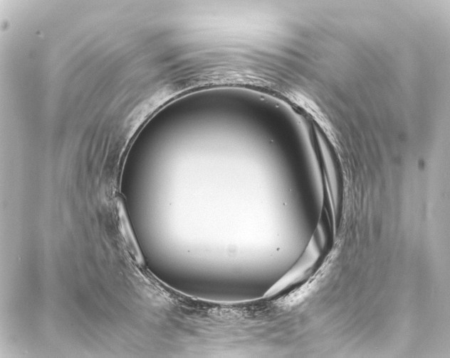 X0000088171089200705151142