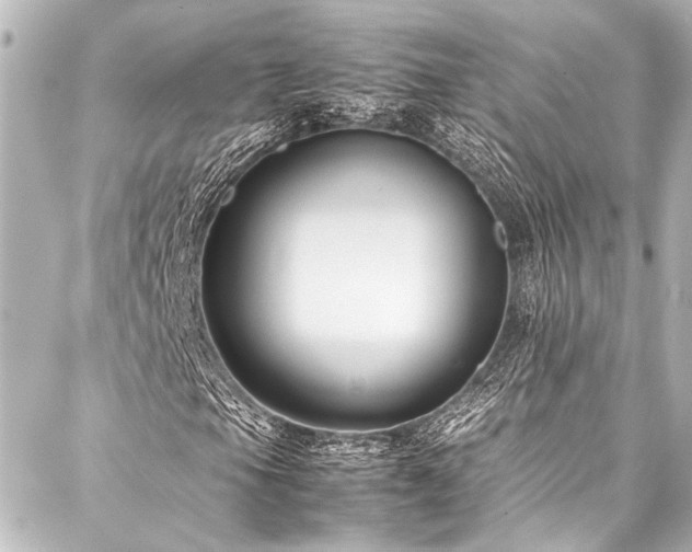 X0000088171105200705151141