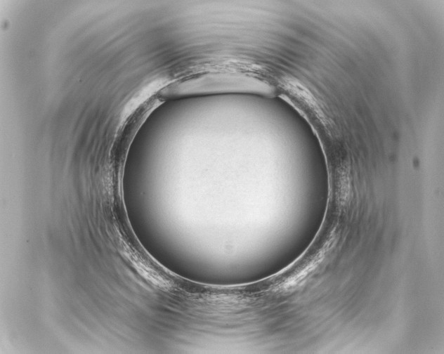 X0000088171114200705151141