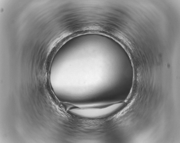 X0000088171117200705151141