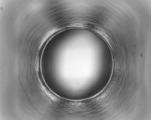 X0000088171131200705151142