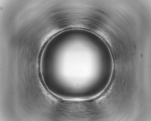 X0000088171133200705151142