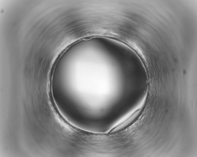 X0000088171136200705151142