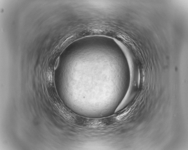 X0000088171155200705151141