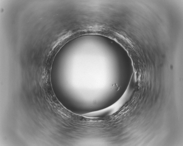 X0000088171160200705151141