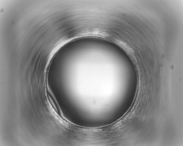 X0000088171200200705151140