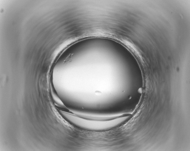 X0000088171238200705151140