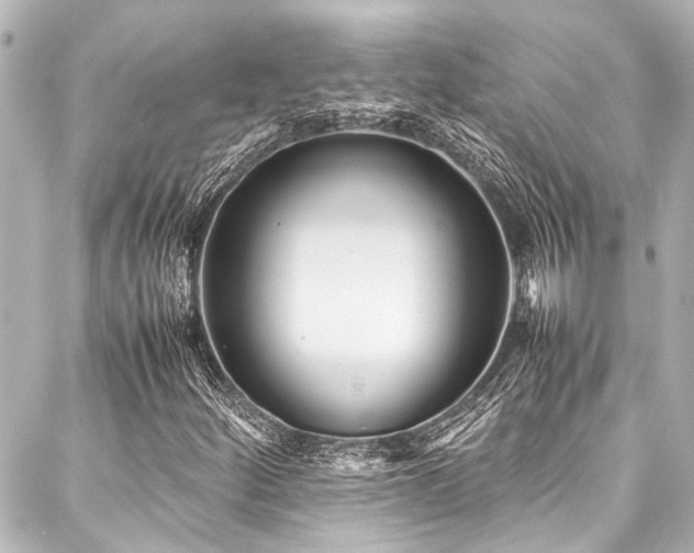 X0000088171252200705151140