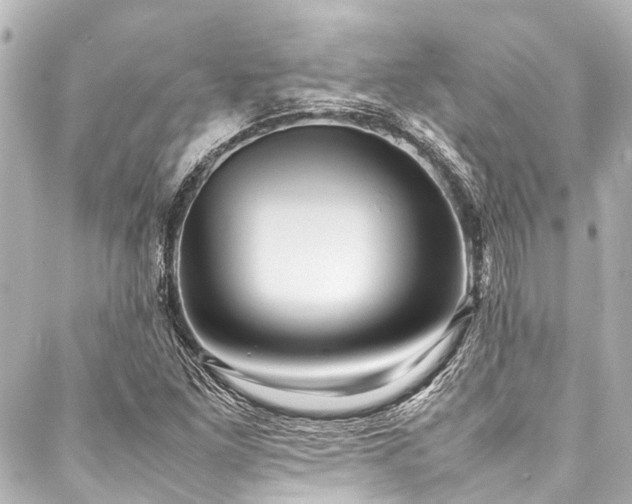 X0000088171261200705151139