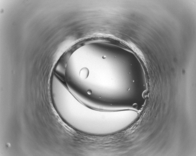 X0000088171287200705151139
