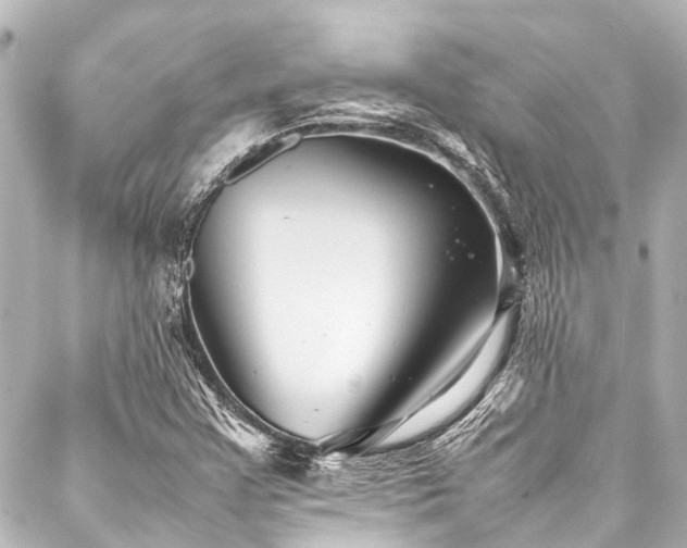 X0000088171355200705151138