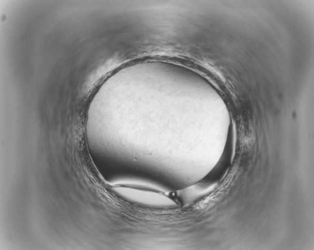 X0000088171359200705151138