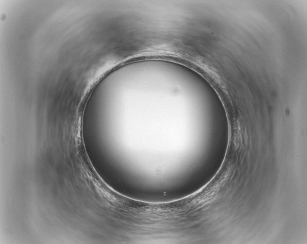 X0000088171366200705151138