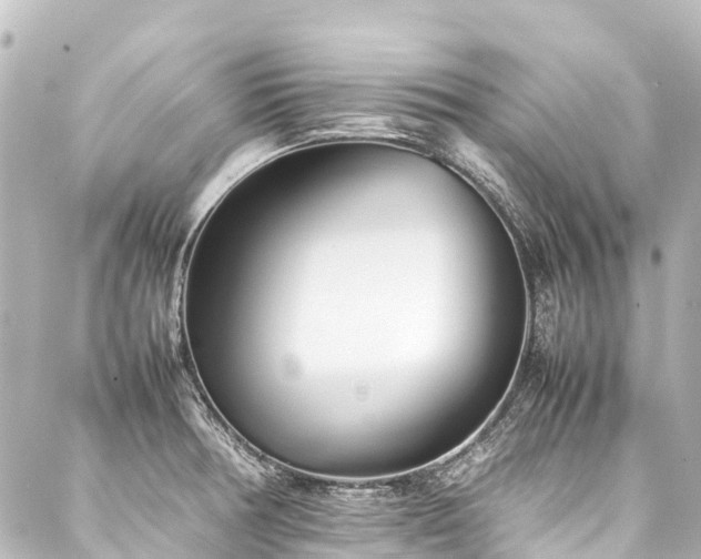 X0000088171378200705151137