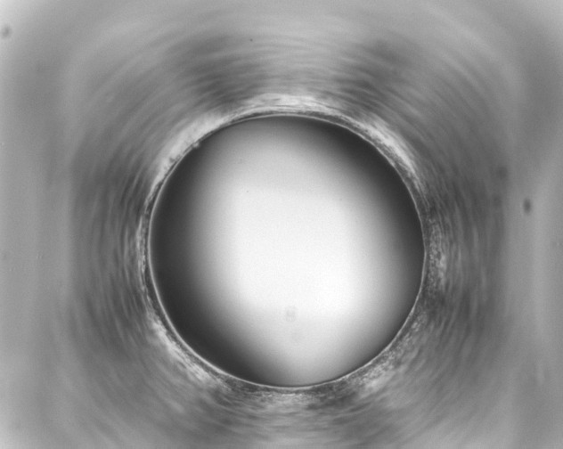 X0000088171382200705151137
