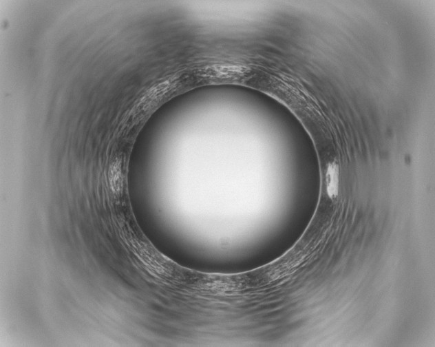 X0000088171395200705151137