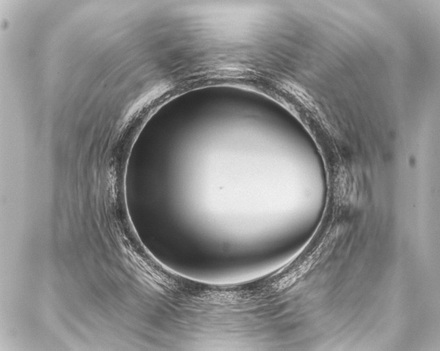 X0000088171402200705151137