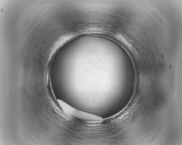 X0000088171413200705151137
