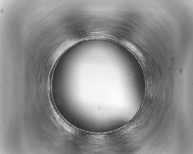 X0000088171431200705151137