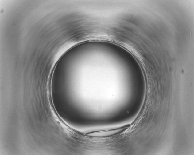 X0000088171440200705151137