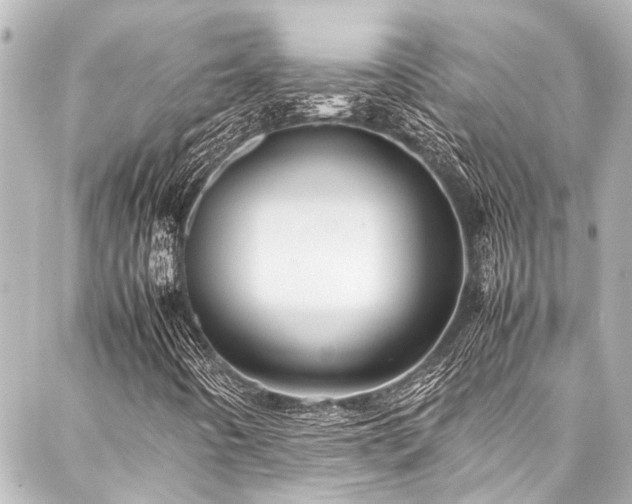 X0000088171442200705151136