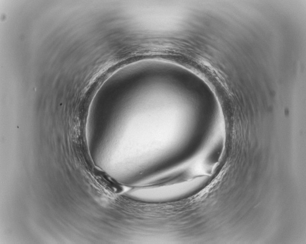 X0000088171449200705151136