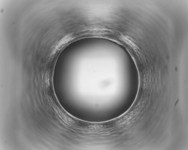 X0000088171451200705151136