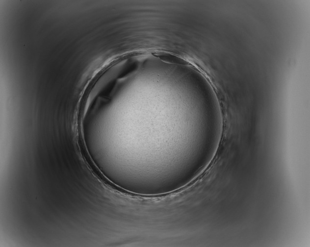 X0000088170002200705221631