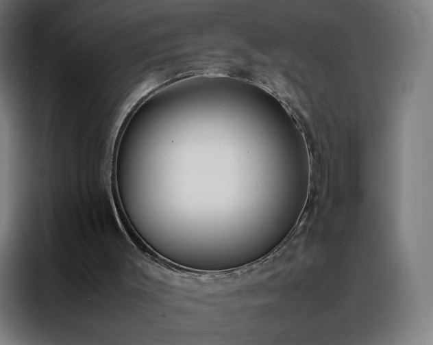 X0000088170003200705221631