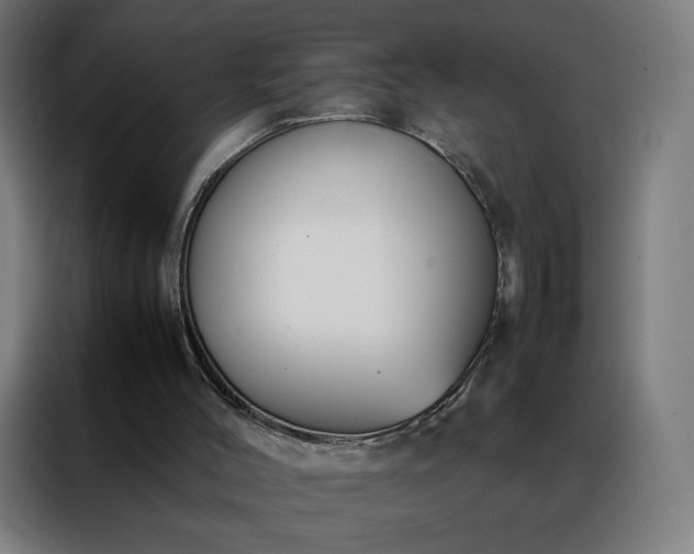 X0000088170004200705221631