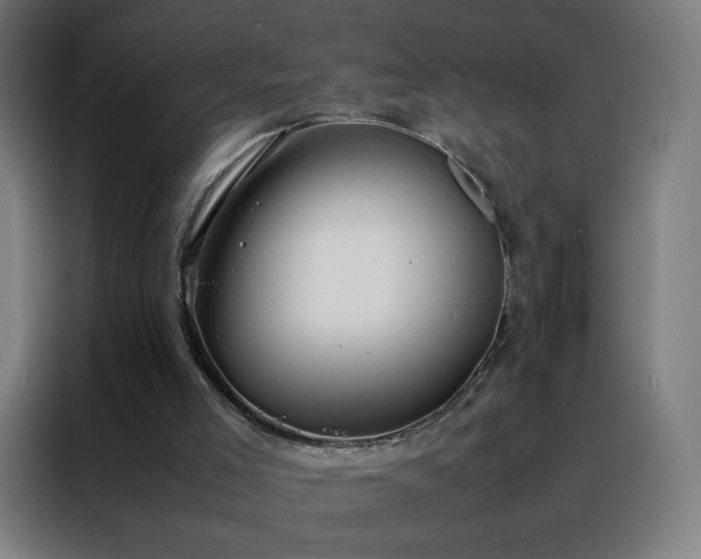 X0000088170005200705221631