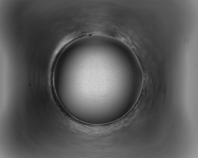 X0000088170006200705221631